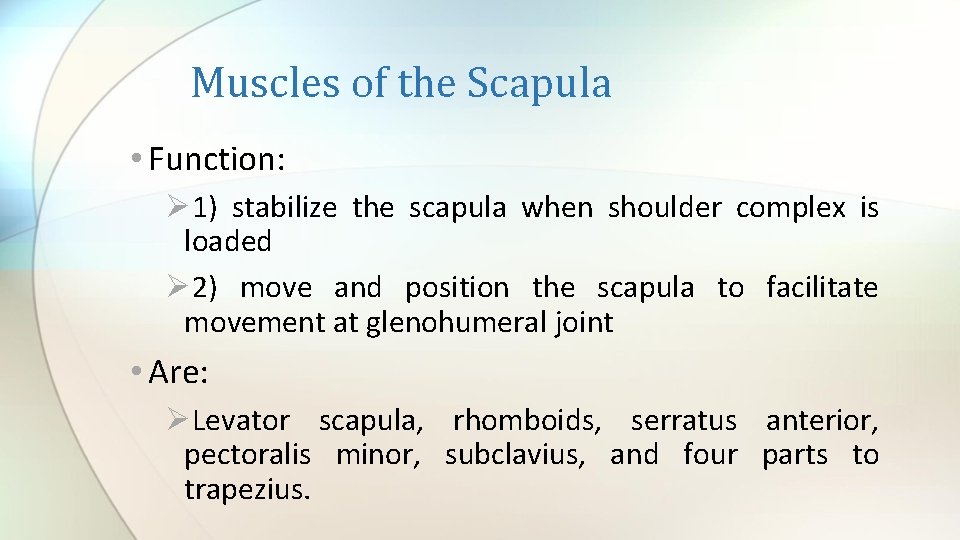 Muscles of the Scapula • Function: Ø 1) stabilize the scapula when shoulder complex