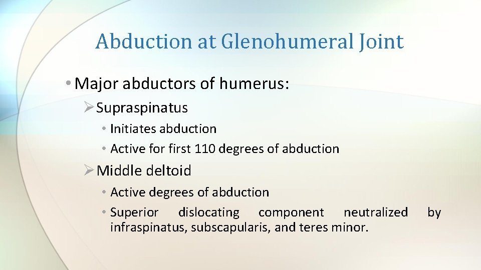 Abduction at Glenohumeral Joint • Major abductors of humerus: ØSupraspinatus • Initiates abduction •