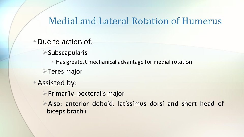 Medial and Lateral Rotation of Humerus • Due to action of: ØSubscapularis • Has