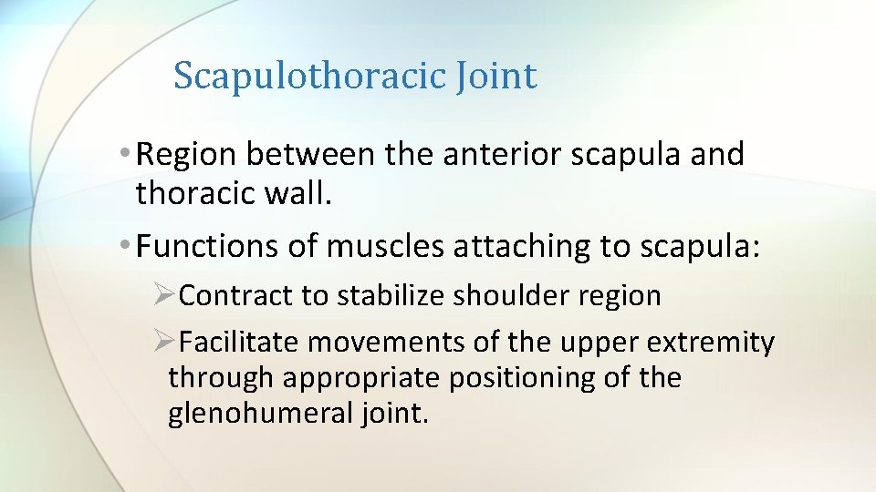 Scapulothoracic Joint • Region between the anterior scapula and thoracic wall. • Functions of