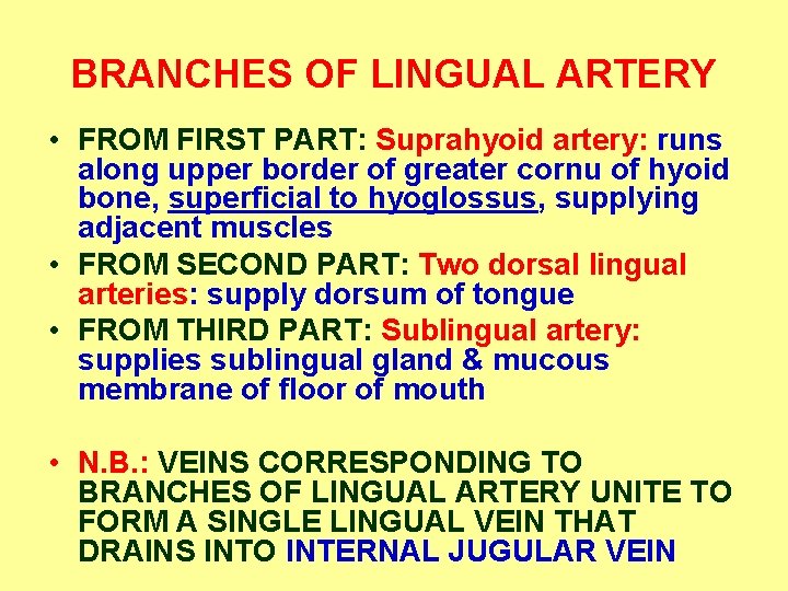 BRANCHES OF LINGUAL ARTERY • FROM FIRST PART: Suprahyoid artery: runs along upper border