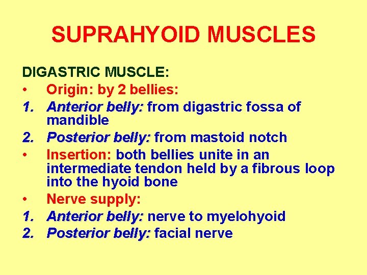 SUPRAHYOID MUSCLES DIGASTRIC MUSCLE: • Origin: by 2 bellies: 1. Anterior belly: from digastric