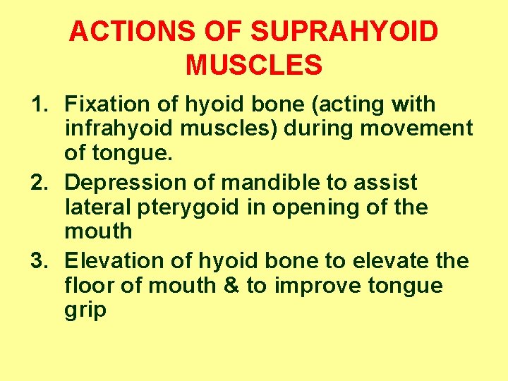 ACTIONS OF SUPRAHYOID MUSCLES 1. Fixation of hyoid bone (acting with infrahyoid muscles) during