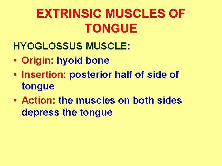 EXTRINSIC MUSCLES OF TONGUE HYOGLOSSUS MUSCLE: • Origin: hyoid bone • Insertion: posterior half