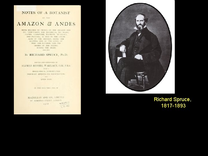 Richard Spruce, 1817 -1893 Richard Spruce, 1817 -1893
