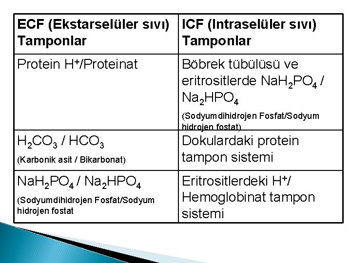 ECF (Ekstarselüler sıvı) ICF (Intraselüler sıvı) Tamponlar Protein H+/Proteinat Böbrek tübülüsü ve eritrositlerde Na.