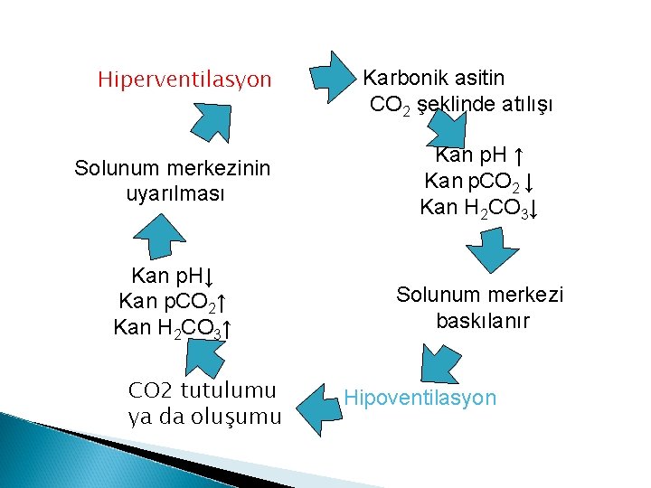 Hiperventilasyon Karbonik asitin CO 2 şeklinde atılışı Solunum merkezinin uyarılması Kan p. H ↑