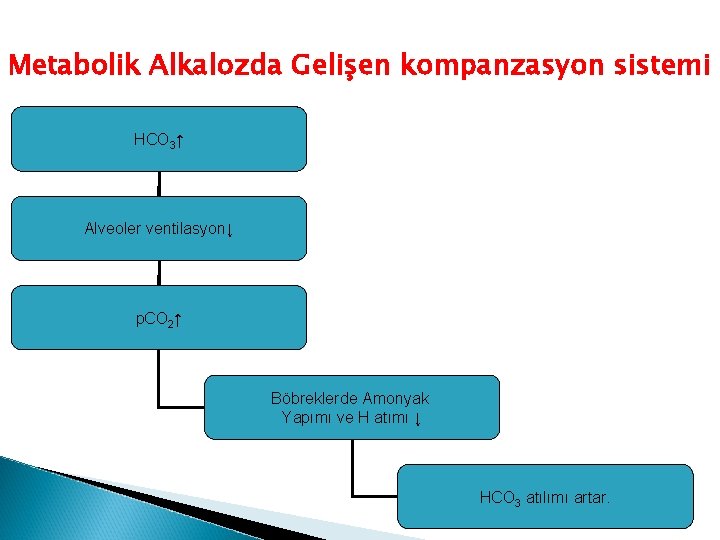 Metabolik Alkalozda Gelişen kompanzasyon sistemi HCO 3↑ Alveoler ventilasyon↓ p. CO 2↑ Böbreklerde Amonyak