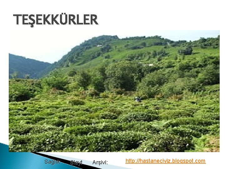 TEŞEKKÜRLER Sağlık Slayt Arşivi: http: //hastaneciyiz. blogspot. com 