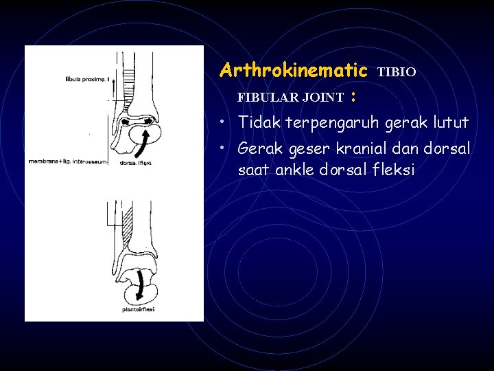 Arthrokinematic TIBIO FIBULAR JOINT : • Tidak terpengaruh gerak lutut • Gerak geser kranial