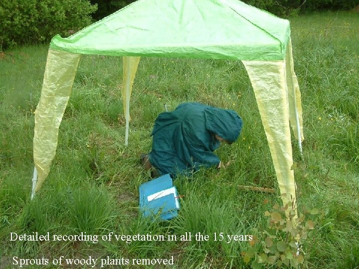 Detailed recording of vegetation in all the 15 years Sprouts of woody plants removed