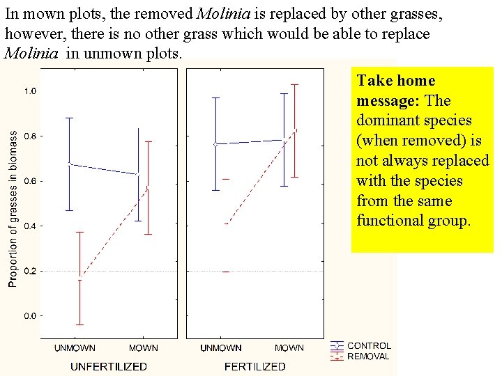 In mown plots, the removed Molinia is replaced by other grasses, however, there is