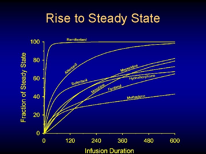 Rise to Steady State 