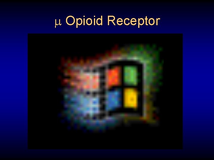  Opioid Receptor 