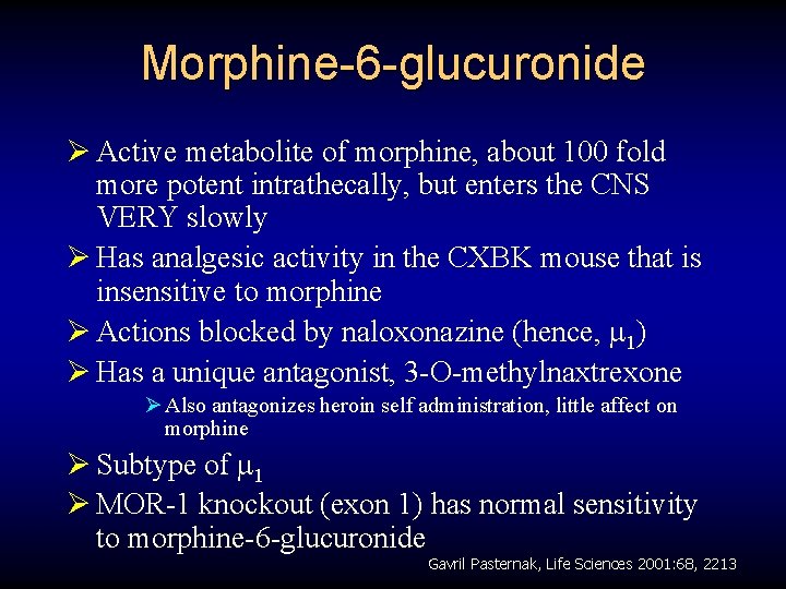 Morphine-6 -glucuronide Ø Active metabolite of morphine, about 100 fold more potent intrathecally, but
