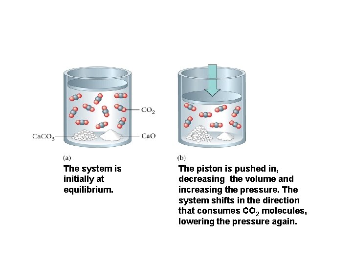 The system is initially at equilibrium. The piston is pushed in, decreasing the volume