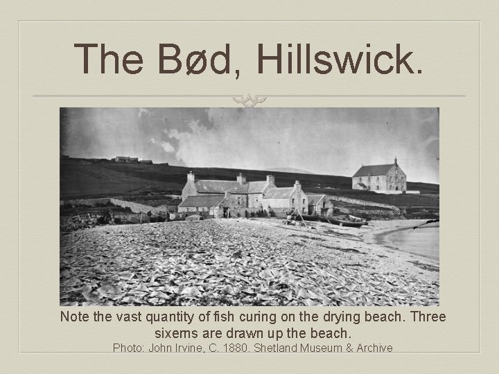 The Bød, Hillswick. Note the vast quantity of fish curing on the drying beach.