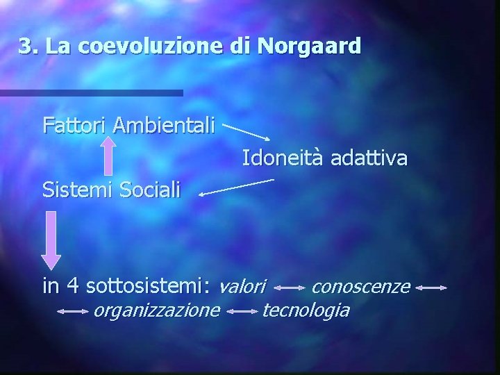 3. La coevoluzione di Norgaard Fattori Ambientali Idoneità adattiva Sistemi Sociali in 4 sottosistemi: