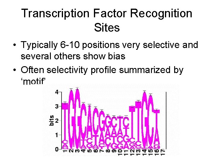 Transcription Factor Recognition Sites • Typically 6 -10 positions very selective and several others