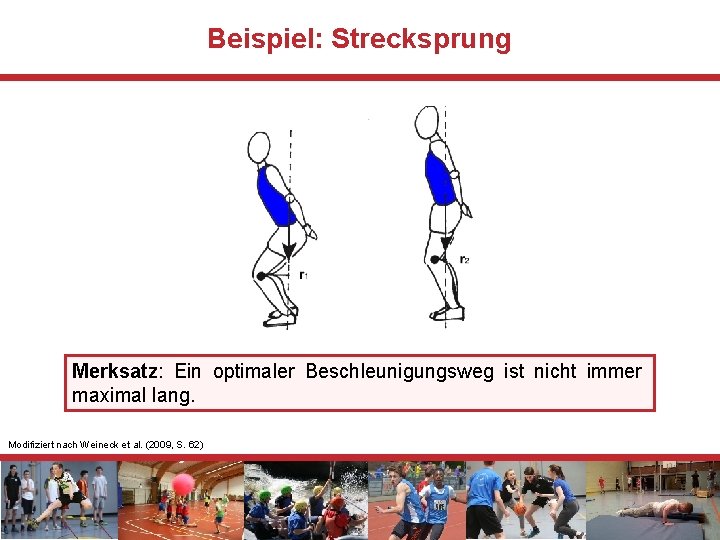 Beispiel: Strecksprung Merksatz: Ein optimaler Beschleunigungsweg ist nicht immer maximal lang. Modifiziert nach Weineck