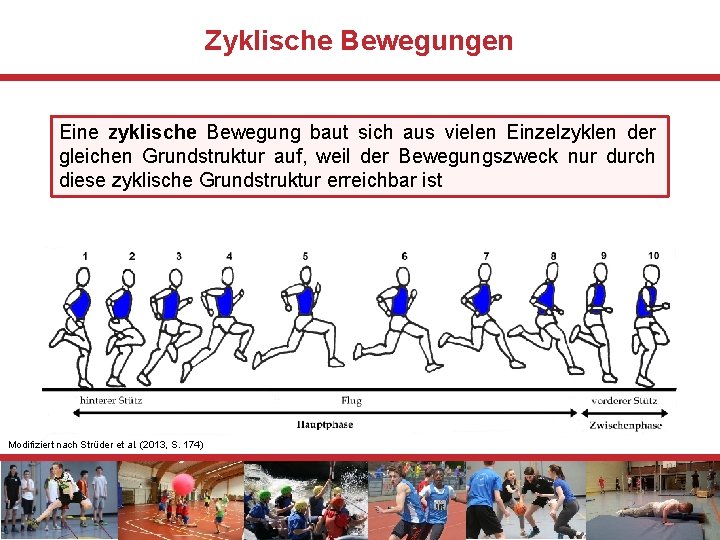 Zyklische Bewegungen Eine zyklische Bewegung baut sich aus vielen Einzelzyklen der gleichen Grundstruktur auf,