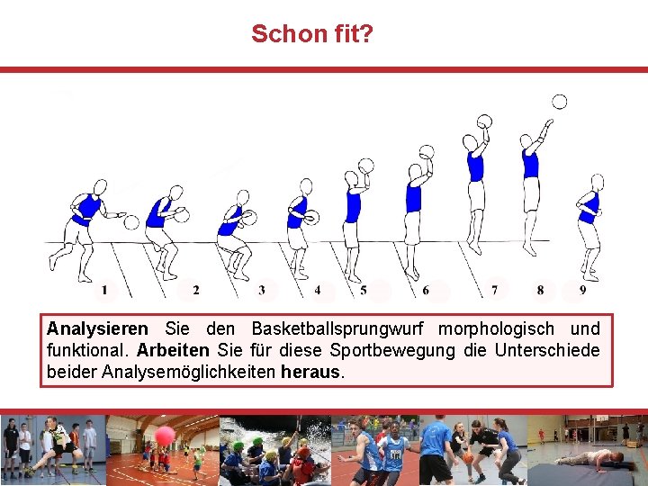 Schon fit? Analysieren Sie den Basketballsprungwurf morphologisch und funktional. Arbeiten Sie für diese Sportbewegung