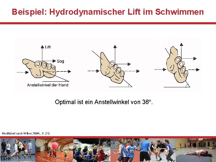 Beispiel: Hydrodynamischer Lift im Schwimmen Optimal ist ein Anstellwinkel von 36º. Modifiziert nach Wilke