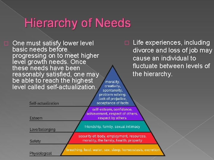 Hierarchy of Needs � One must satisfy lower level basic needs before progressing on