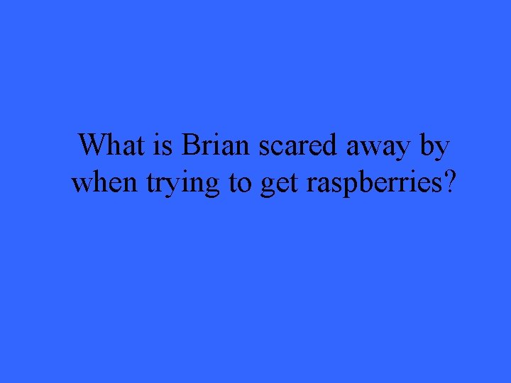 What is Brian scared away by when trying to get raspberries? What is Brian scared away by when trying to get raspberries?