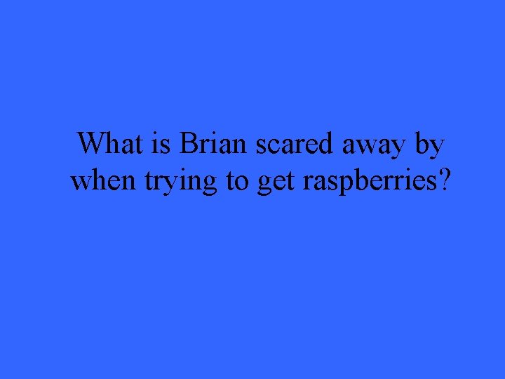 What is Brian scared away by when trying to get raspberries? 