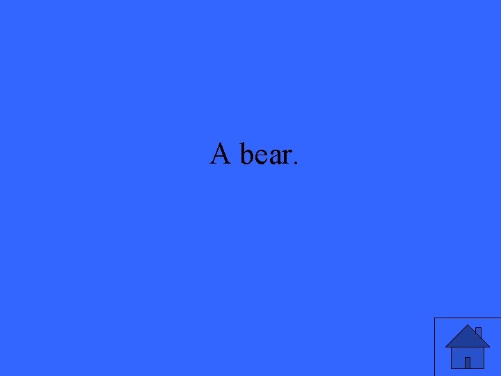 A bear. A bear.