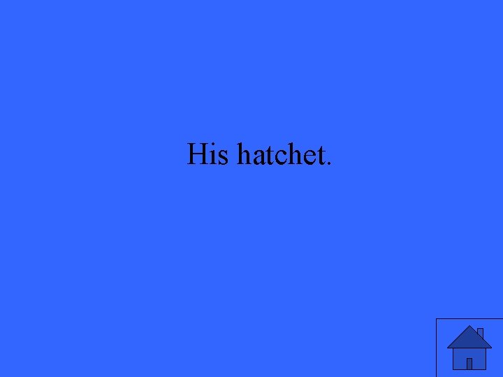 His hatchet. His hatchet.