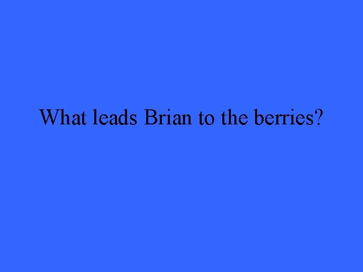 What leads Brian to the berries? What leads Brian to the berries?