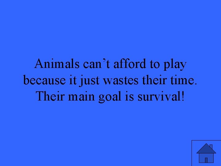Animals can’t afford to play because it just wastes their time. Their main goal Animals can’t afford to play because it just wastes their time. Their main goal