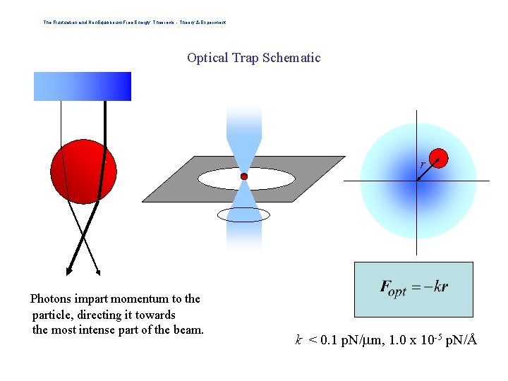 The Fluctuation and Non. Equilibrium Free Energy Theorems - Theory & Experiment Optical Trap
