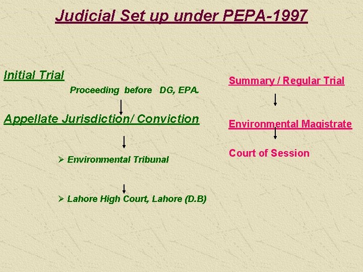 Judicial Set up under PEPA-1997 Initial Trial Proceeding before DG, EPA. Appellate Jurisdiction/ Conviction