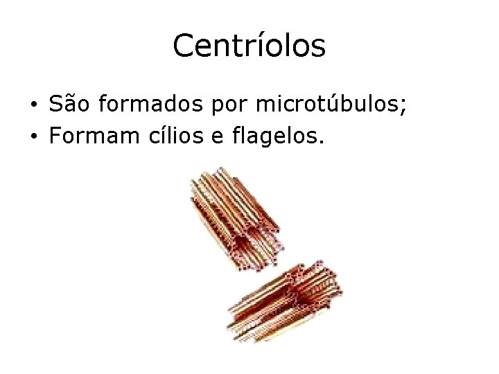 Centríolos • São formados por microtúbulos; • Formam cílios e flagelos. 