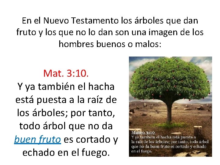 En el Nuevo Testamento los árboles que dan fruto y los que no lo