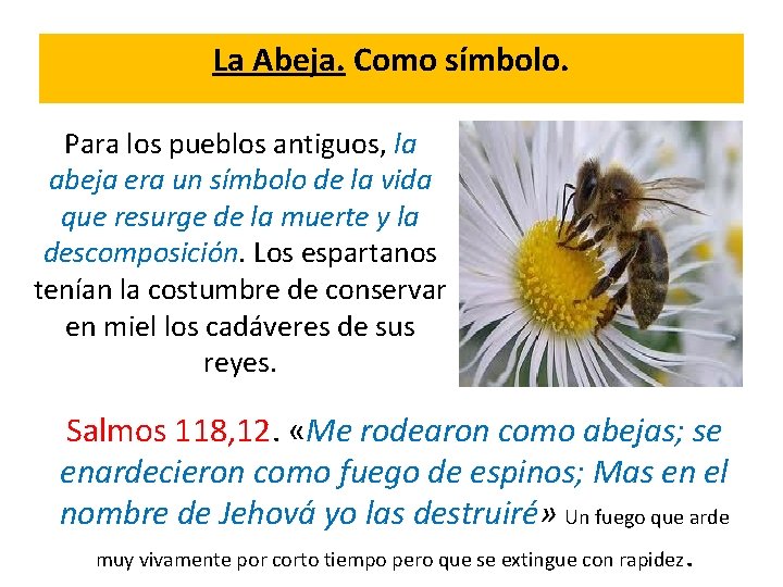 La Abeja. Como símbolo. Para los pueblos antiguos, la abeja era un símbolo de