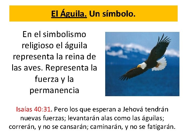 El Águila. Un símbolo. En el simbolismo religioso el águila representa la reina de