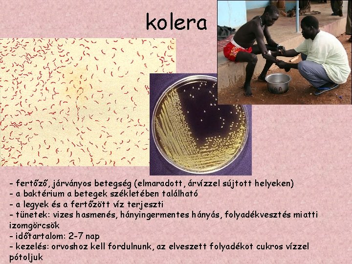 kolera - fertőző, járványos betegség (elmaradott, árvízzel sújtott helyeken) - a baktérium a betegek