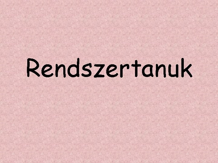 Rendszertanuk 