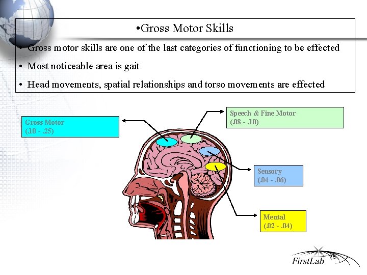  • Gross Motor Skills • Gross motor skills are one of the last