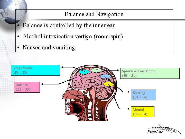 Balance and Navigation • Balance is controlled by the inner ear • Alcohol intoxication