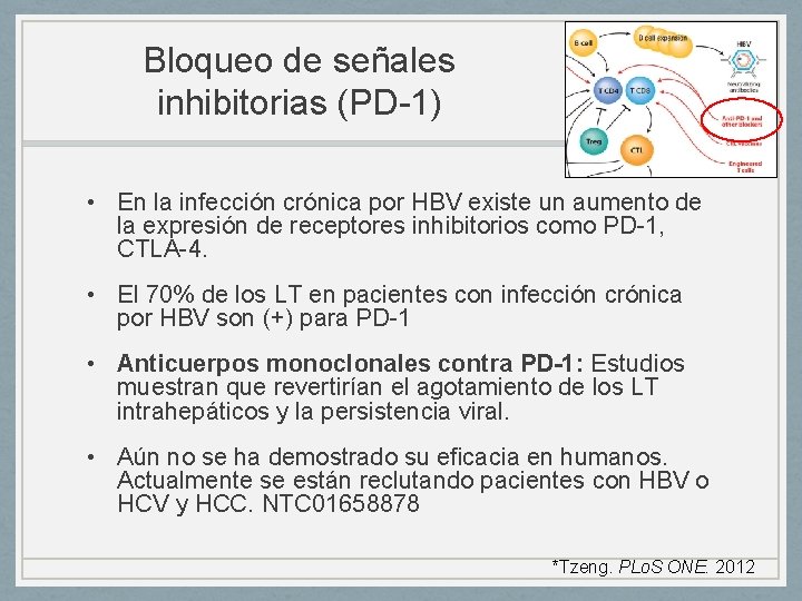 Bloqueo de señales inhibitorias (PD-1) • En la infección crónica por HBV existe un