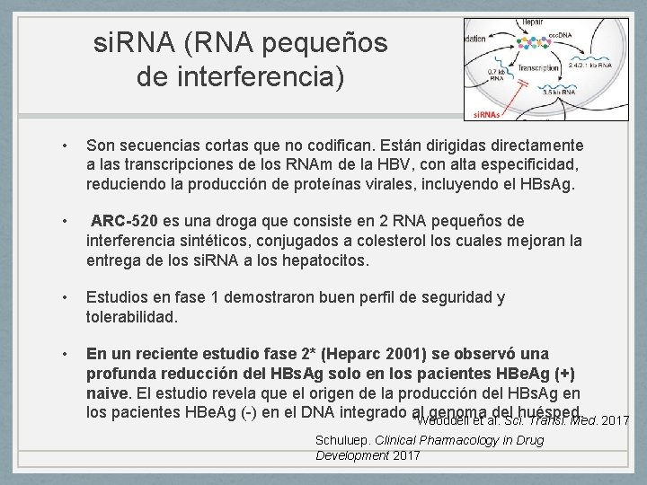 si. RNA (RNA pequeños de interferencia) • Son secuencias cortas que no codifican. Están