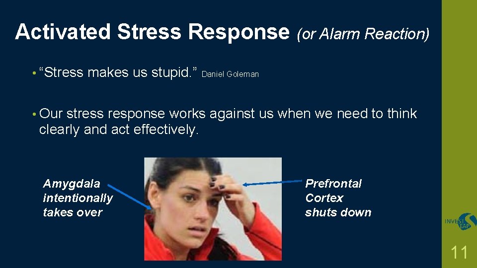 Activated Stress Response (or Alarm Reaction) • “Stress makes us stupid. ” Daniel Goleman