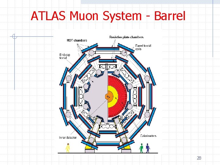 ATLAS Muon System - Barrel 28 