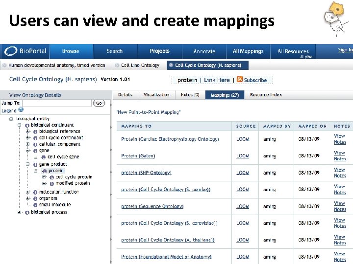 Users can view and create mappings 