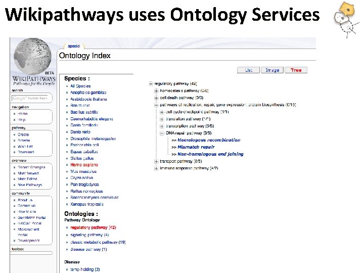 Wikipathways uses Ontology Services 